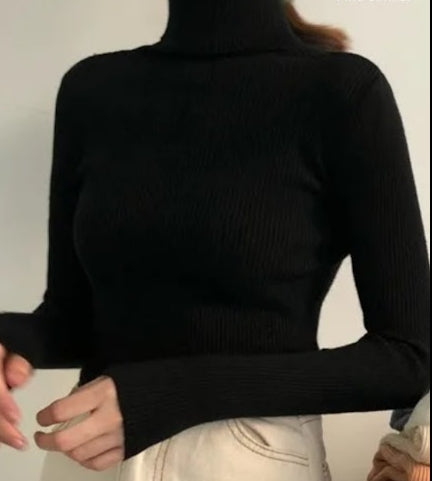 Long Sleeve Knit Turtle Neck