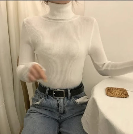 Long Sleeve Knit Turtle Neck